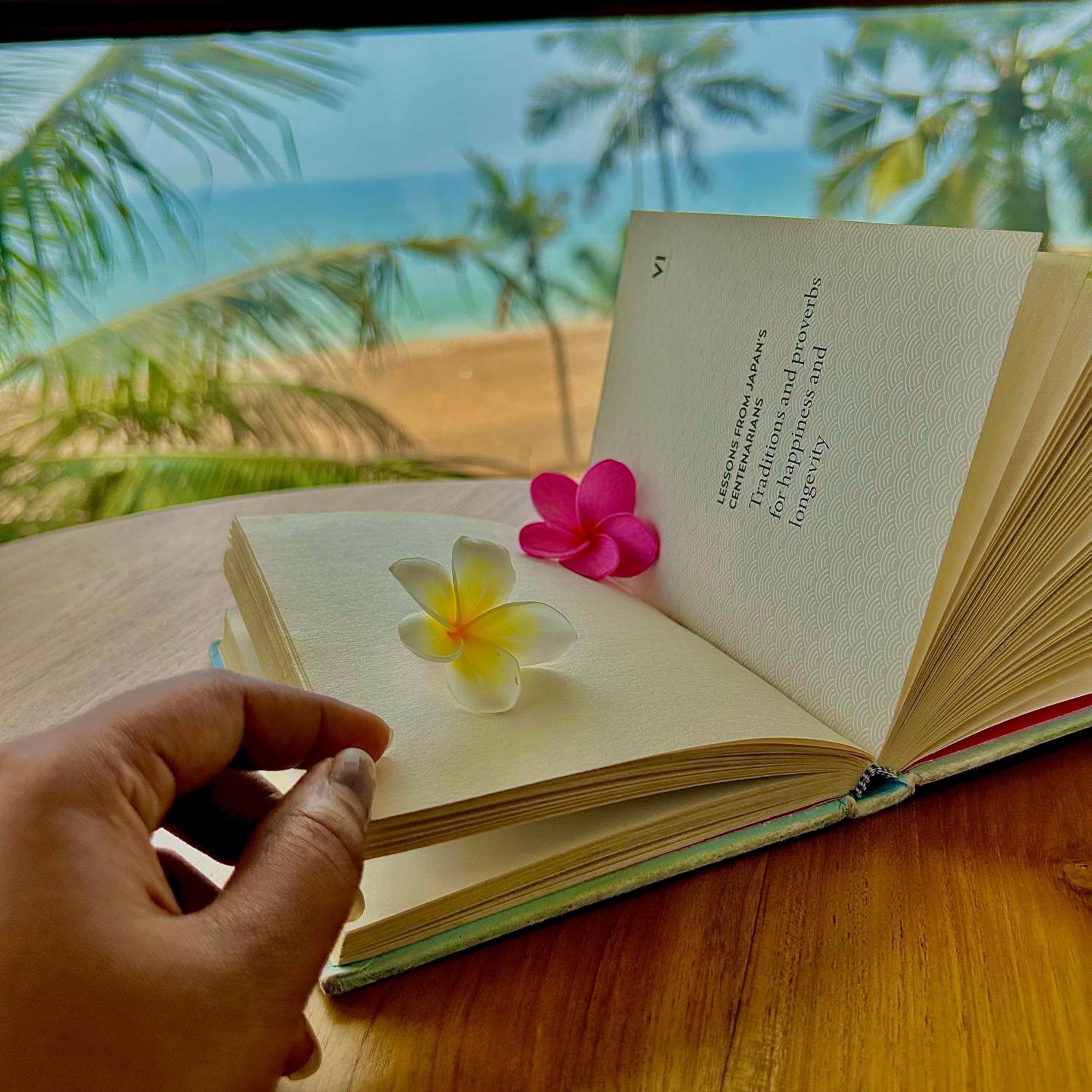 Santa Maria, Trivandrum - An Airport Boutique By The Sea Bed & Breakfast Thiruvananthapuram ภายนอก รูปภาพ