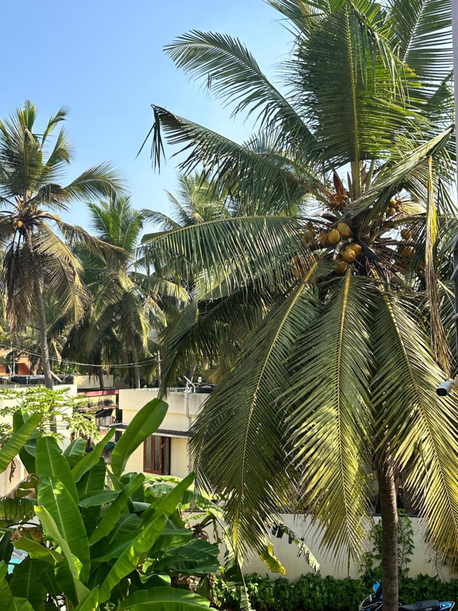 Santa Maria, Trivandrum - An Airport Boutique By The Sea Bed & Breakfast Thiruvananthapuram ภายนอก รูปภาพ