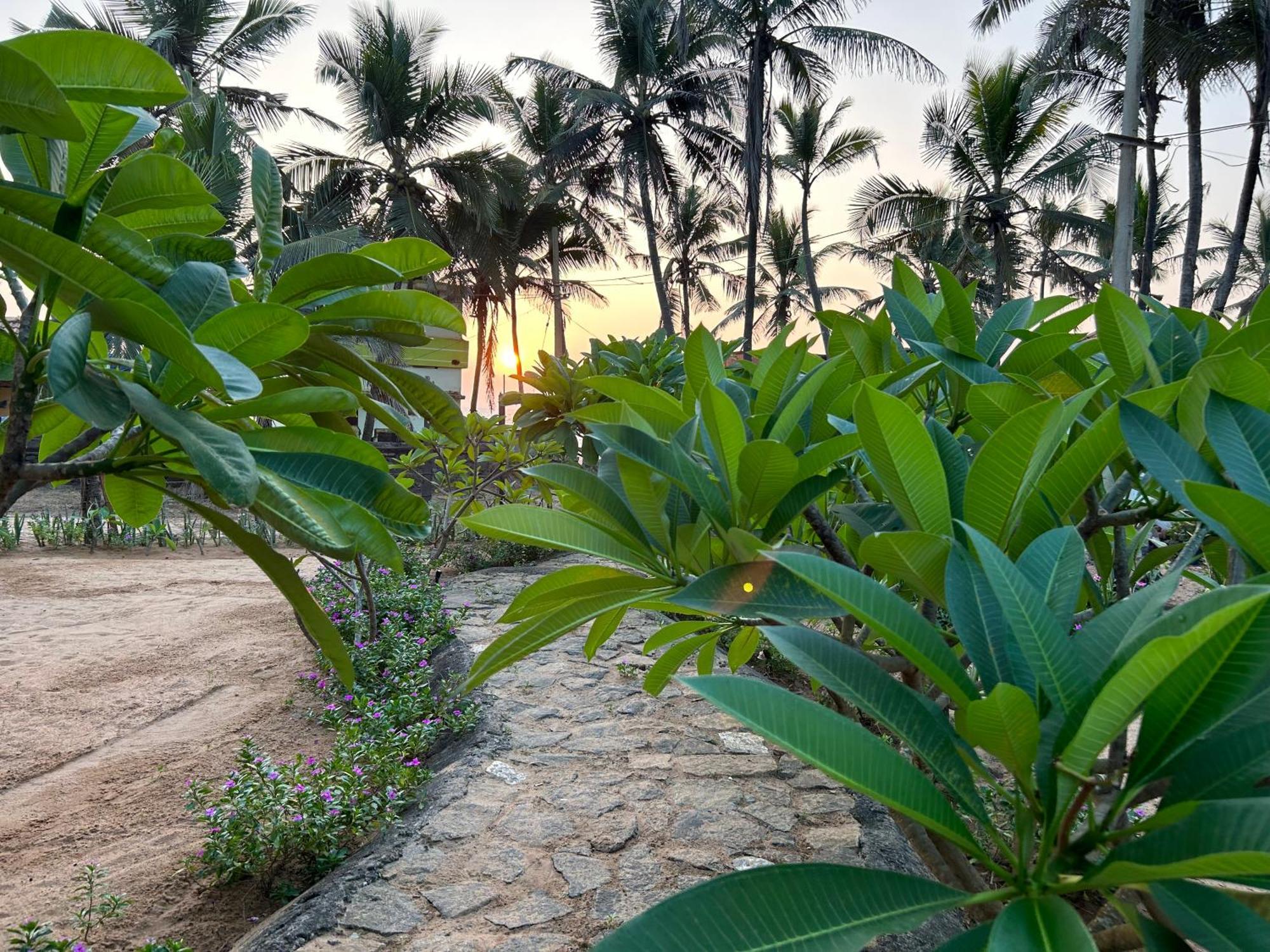 Santa Maria, Trivandrum - An Airport Boutique By The Sea Bed & Breakfast Thiruvananthapuram ภายนอก รูปภาพ