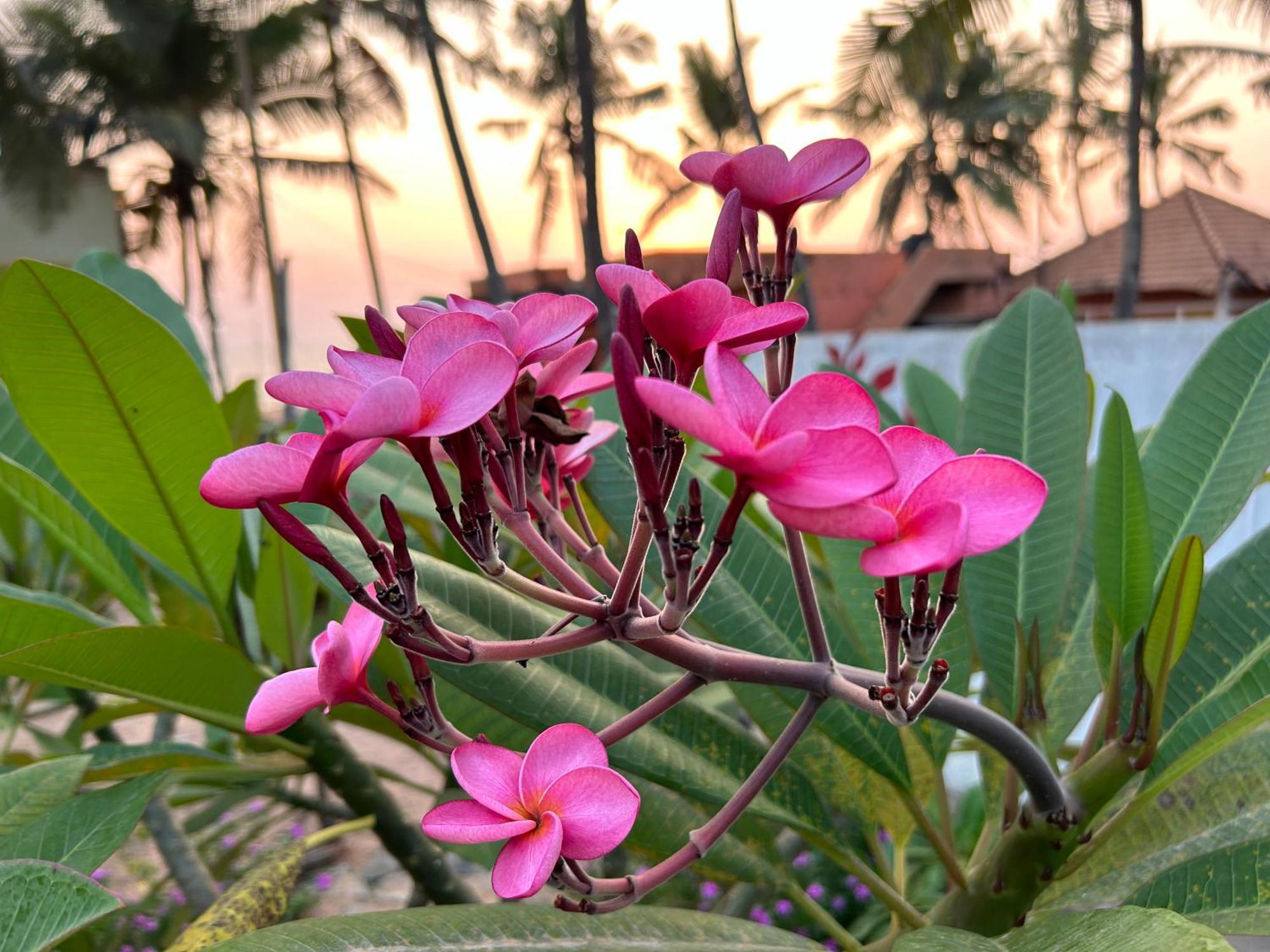 Santa Maria, Trivandrum - An Airport Boutique By The Sea Bed & Breakfast Thiruvananthapuram ภายนอก รูปภาพ